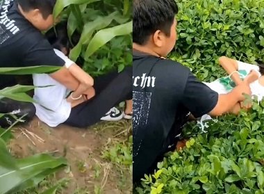 sex mò cu,phim sex con trai con trai,link sex viet moi Tình một đêm của những cô vợ trẻ máu dâm